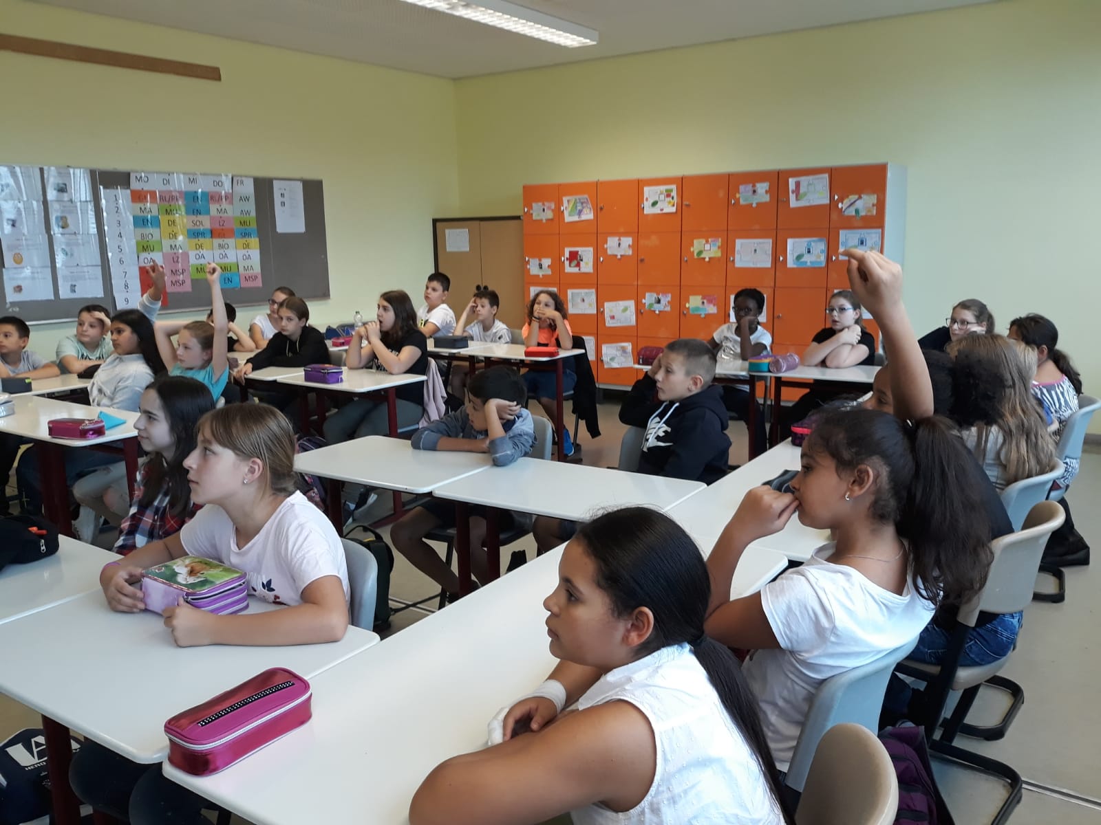 IMG-20190830-WA0011.jpg IMG-20190830-WA0011.jpg