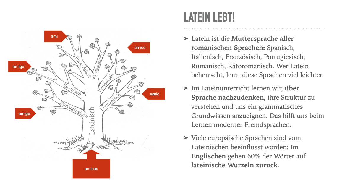 Bildschirmfoto_2020-11-30_um_203939.png Bildschirmfoto_2020-11-30_um_203939.png