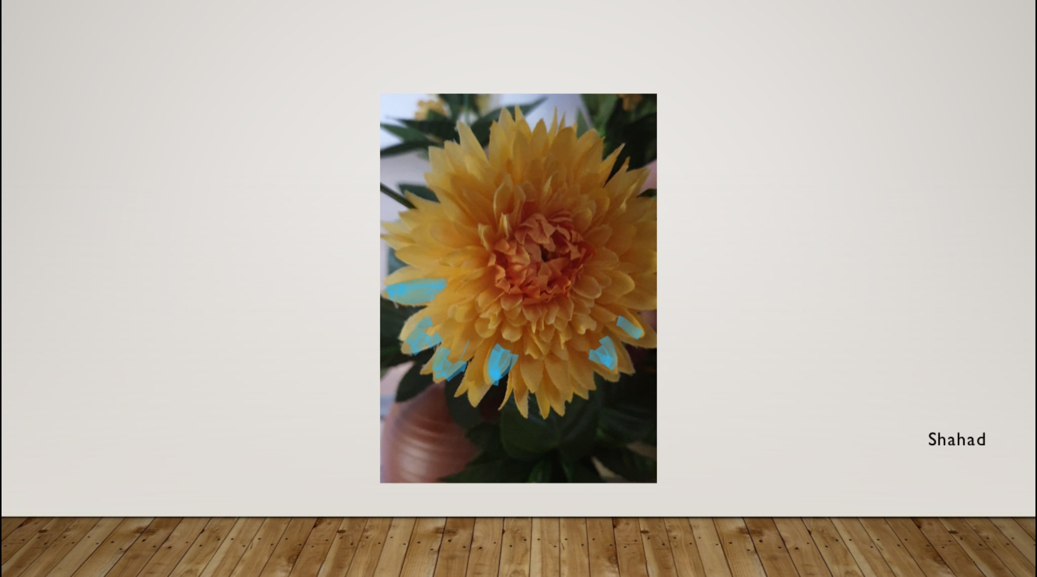 00F152FF-2757-40A4-9FD9-2A3FC1132BE6-min.jpeg 00F152FF-2757-40A4-9FD9-2A3FC1132BE6-min.jpeg