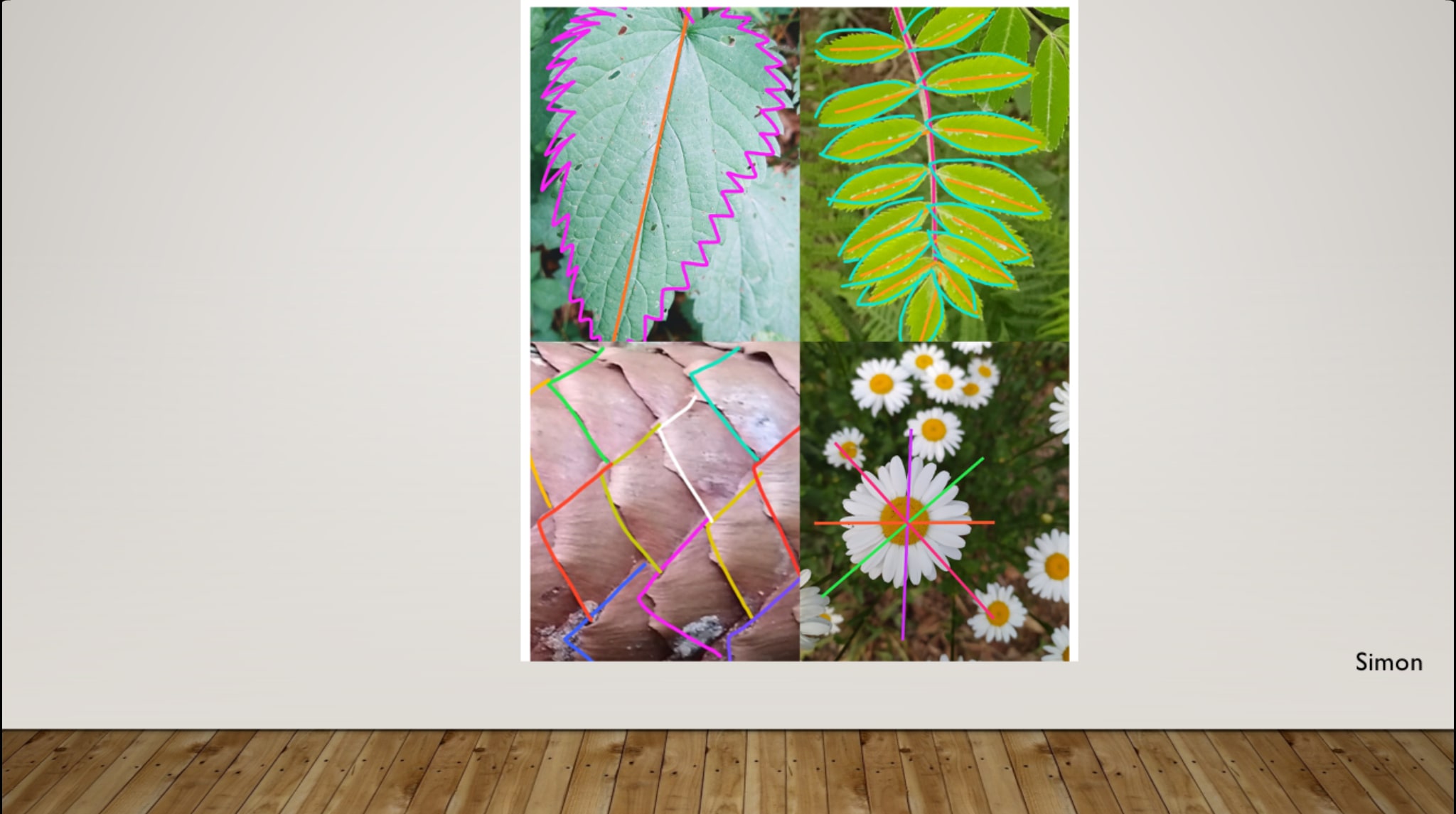 4144D990-3750-49EA-81C4-910BFC77680D-min.jpeg 4144D990-3750-49EA-81C4-910BFC77680D-min.jpeg