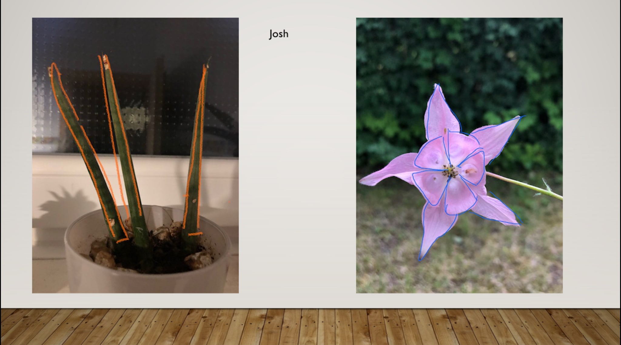 61CB1759-F1FF-4D26-8379-01E31C461F06-min.jpeg 61CB1759-F1FF-4D26-8379-01E31C461F06-min.jpeg