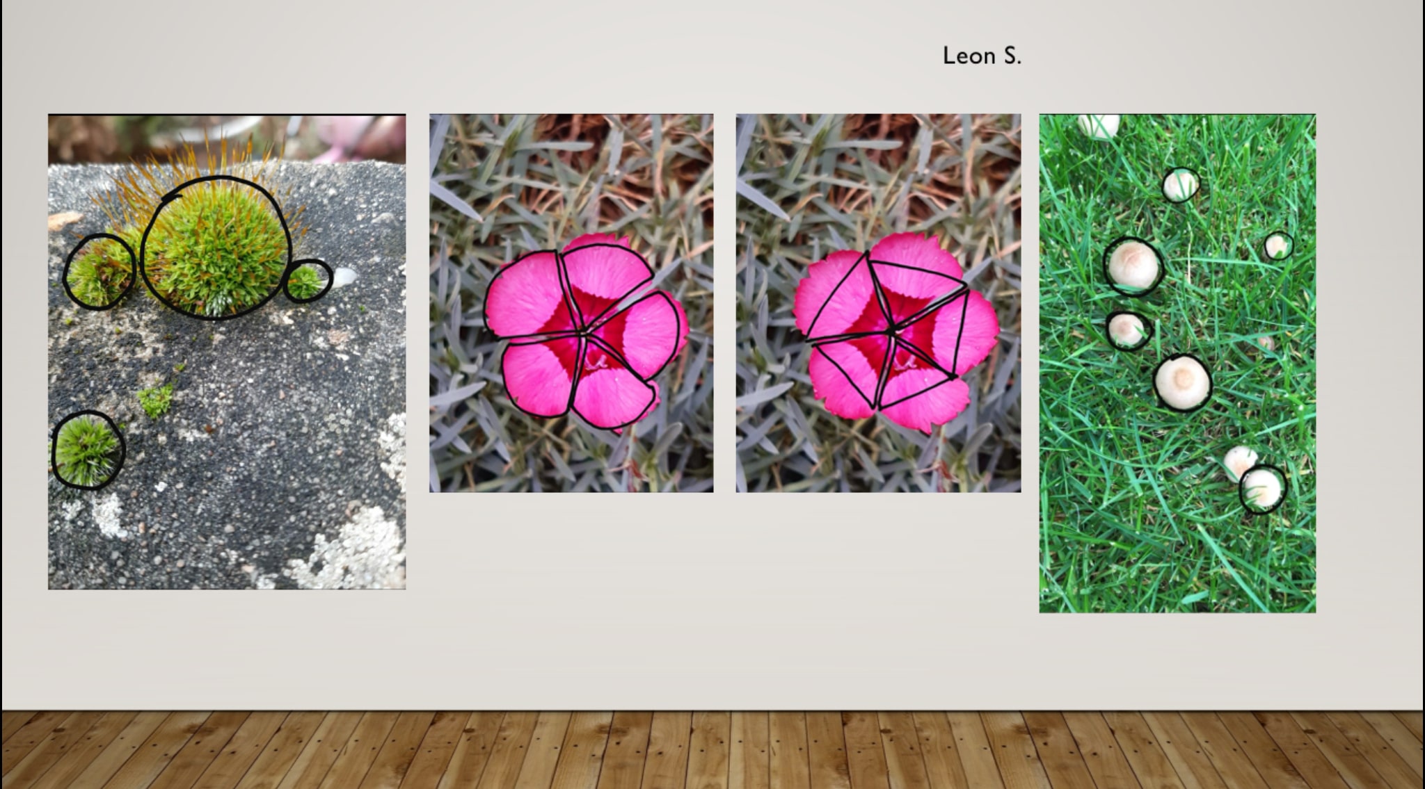 A277C785-499D-4E5C-8DA9-FF7479C01818-min.jpeg A277C785-499D-4E5C-8DA9-FF7479C01818-min.jpeg