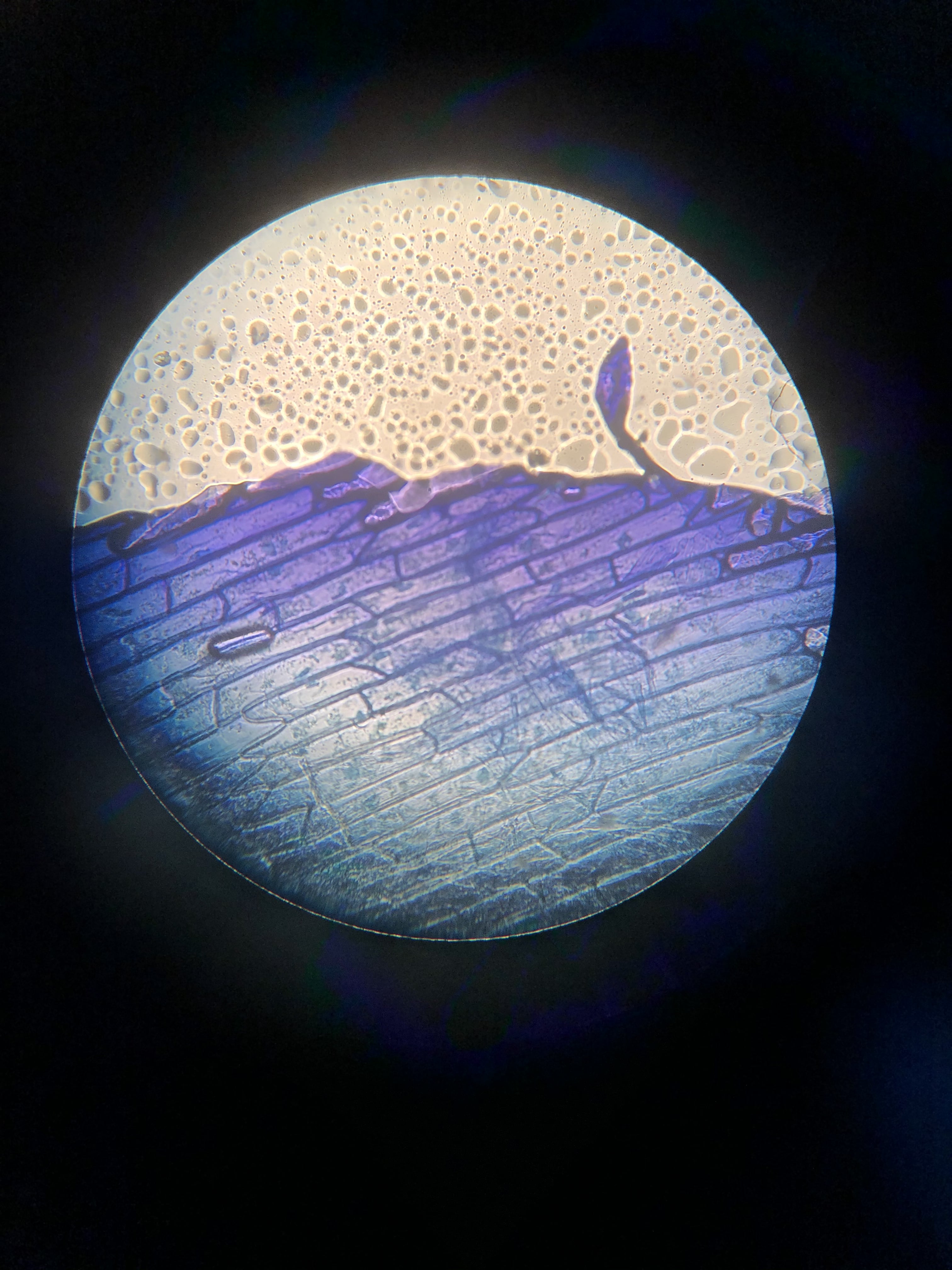 A5EB0B30-9A08-4B08-998E-A5D04131821F-min.jpeg A5EB0B30-9A08-4B08-998E-A5D04131821F-min.jpeg