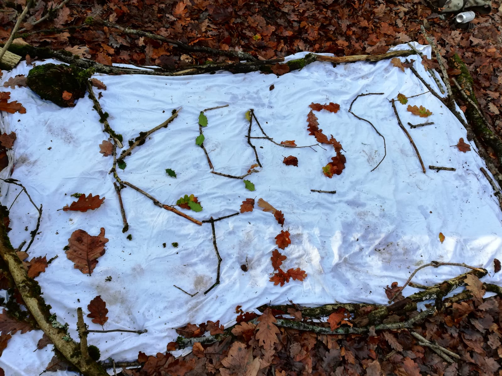 053C66FC-D678-45C1-8B5D-E193698B866F.jpeg 053C66FC-D678-45C1-8B5D-E193698B866F.jpeg