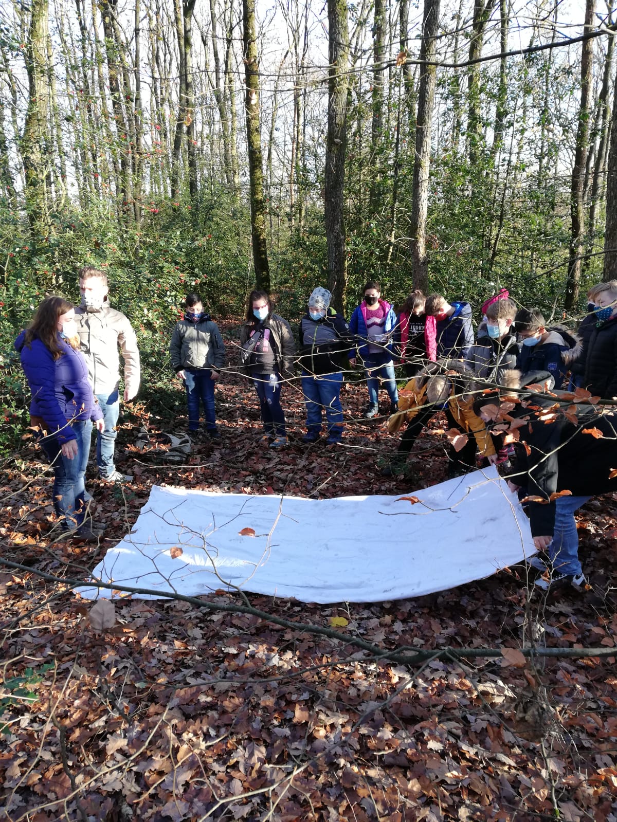 D2C6AA67-B8B0-49CC-A8F0-81A42DF7AE49.jpeg D2C6AA67-B8B0-49CC-A8F0-81A42DF7AE49.jpeg